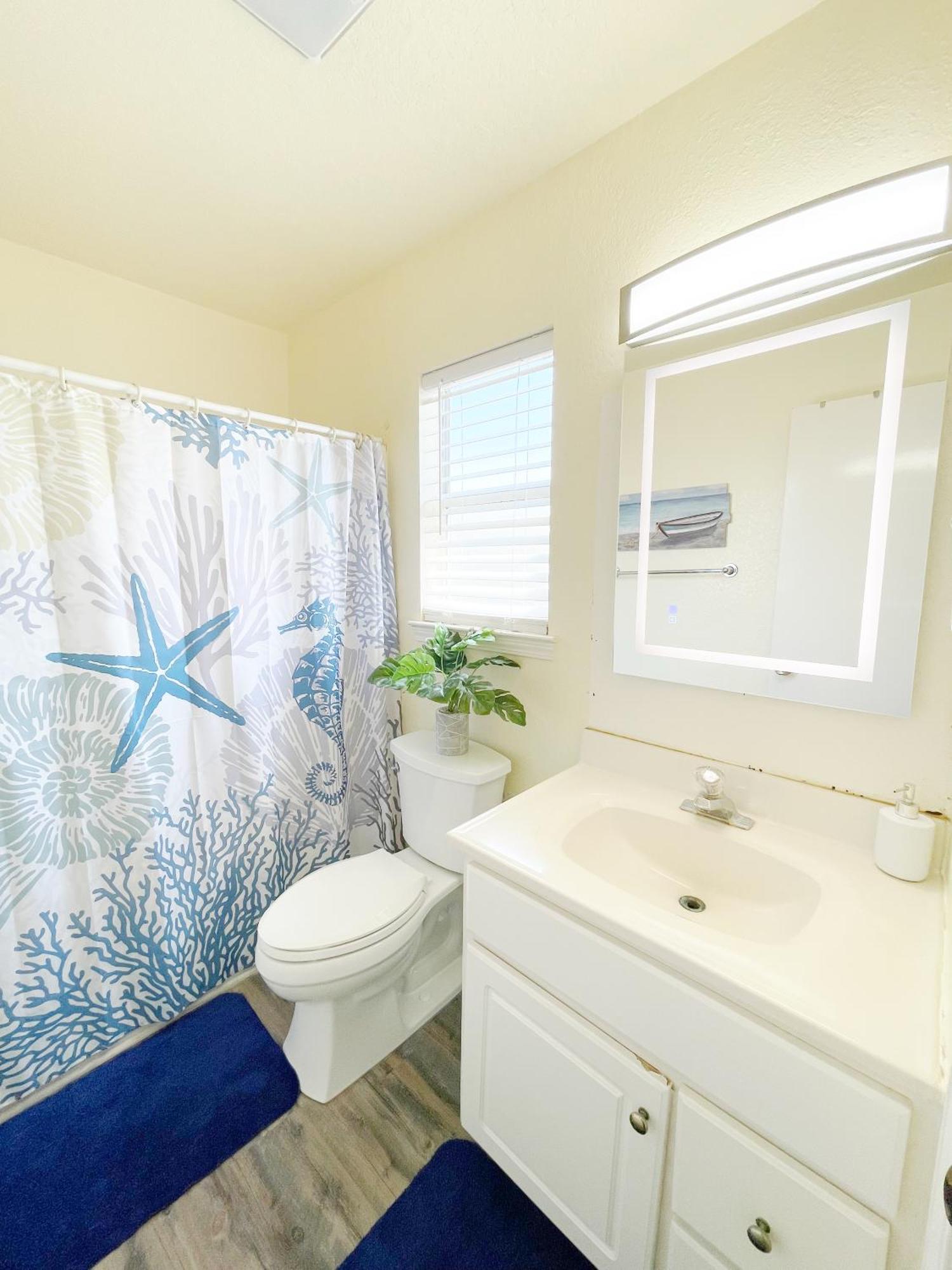 Oceanfront 2br W Sunsets Views Comfy And Pet And Family Friendly